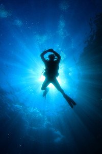 Scuba Diving in ocean